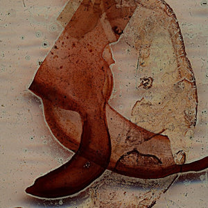 Fine_Art_Print_spezial wetterbeständige robuste Farben von johann franki: abstraktes Bild 120 x 70 cm – Edition "Teile das Meer", Aludibond-Tafel "Vergessen im Sand", malamadita