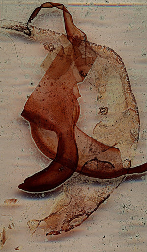 Fine_Art_Print_spezial wetterbeständige robuste Farben von johann franki: abstraktes Bild 120 x 70 cm – Edition "Teile das Meer", Aludibond-Tafel "Vergessen im Sand", malamadita