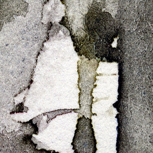 Giclee-Druck von johann franki: edle Grau- und Schwarztöne, zentriert Hochformat – Fine-Art Glicee-Print aus dem Blauen Skizzenbuch, Blatt 17.3