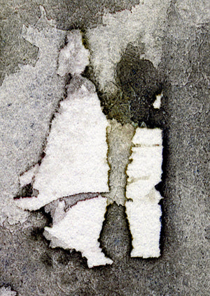 Giclee-Druck von johann franki: edle Grau- und Schwarztöne, zentriert Hochformat – Fine-Art Glicee-Print aus dem Blauen Skizzenbuch, Blatt 17.3