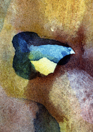 Giclée-Druck von johann franki: ein Vogel sitzend – Fine-Art Poster aus dem Blauen Skizzenbuch, Blatt 19.2 malamadita